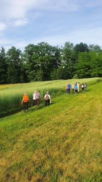 Crnomelj, Jesen, foto Zdenka Kavcic (1) – kopija